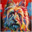 Australian Silky Terrier